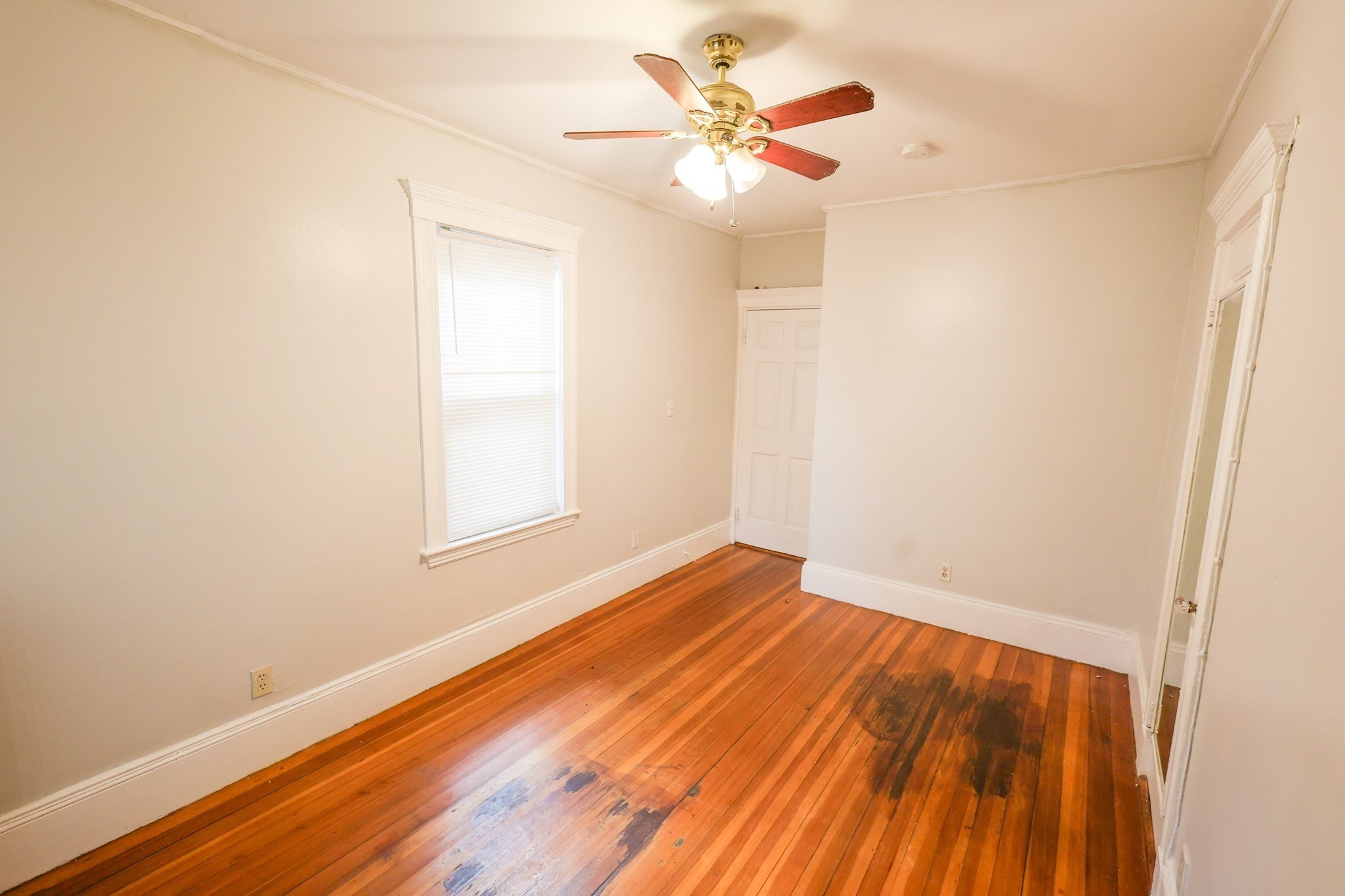 9 Ridgewood Street, Unit 2 Boston, MA 02122 - Photo 11 of 13 Gallery Image 11