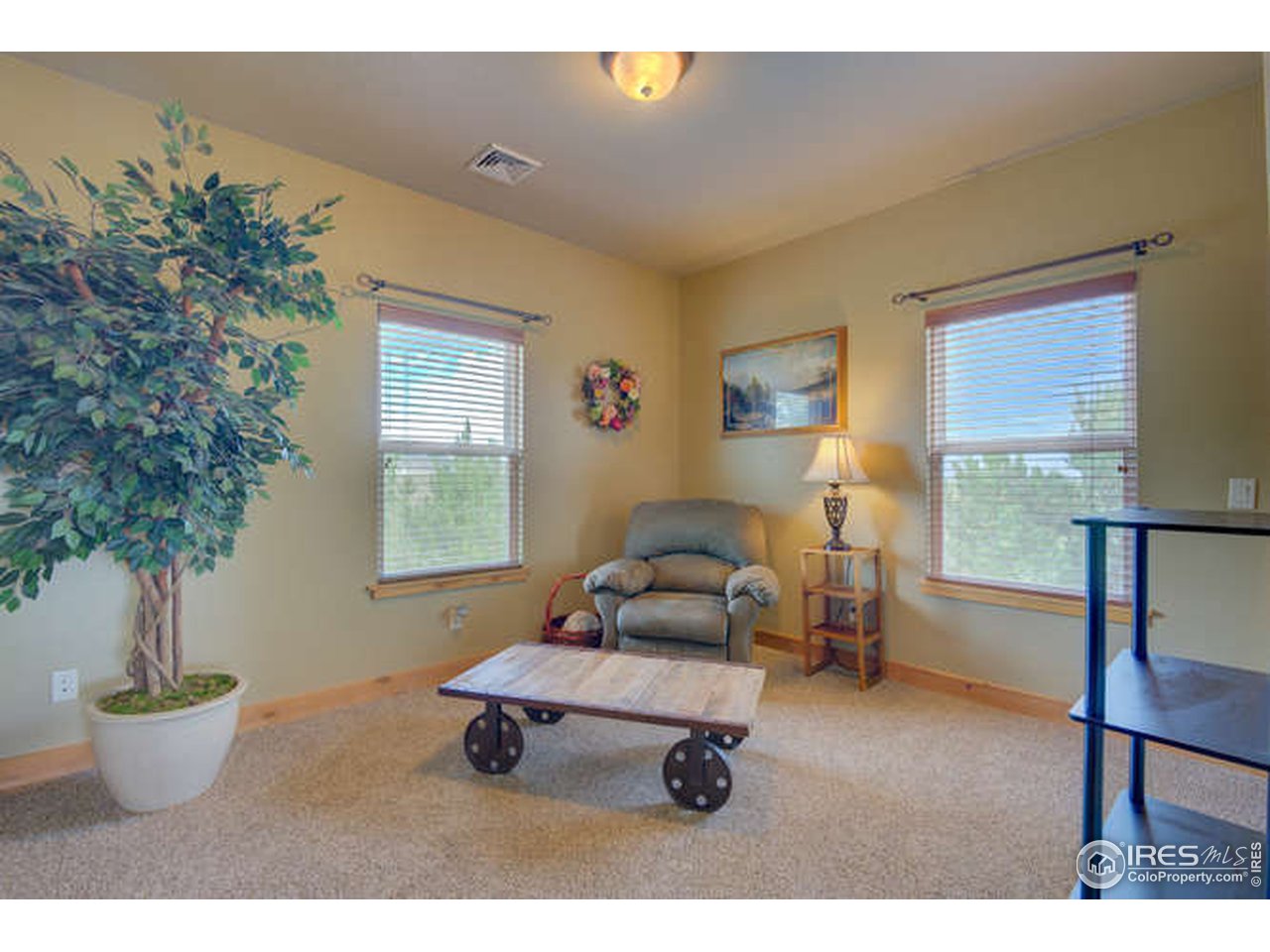 1441 Shelby Drive Berthoud, CO 80513 - Photo 28 of 40 a living room with furniture and a potted plant
