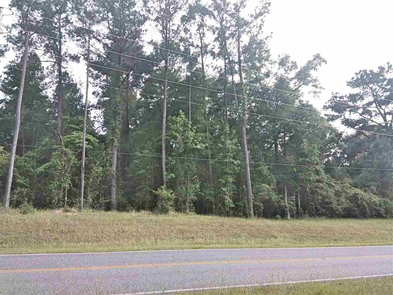 9040 Bromley Road Bay Minette, AL 36507 - Photo 3 of 4