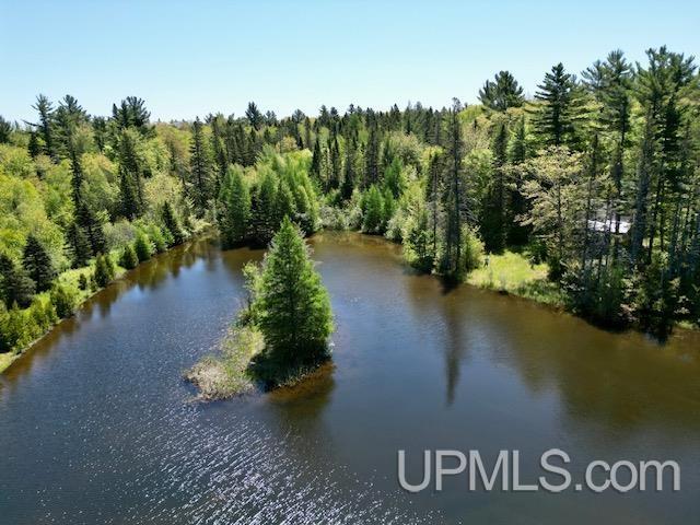 Theilers Road Mohawk, MI 49950 - Photo 2 of 56