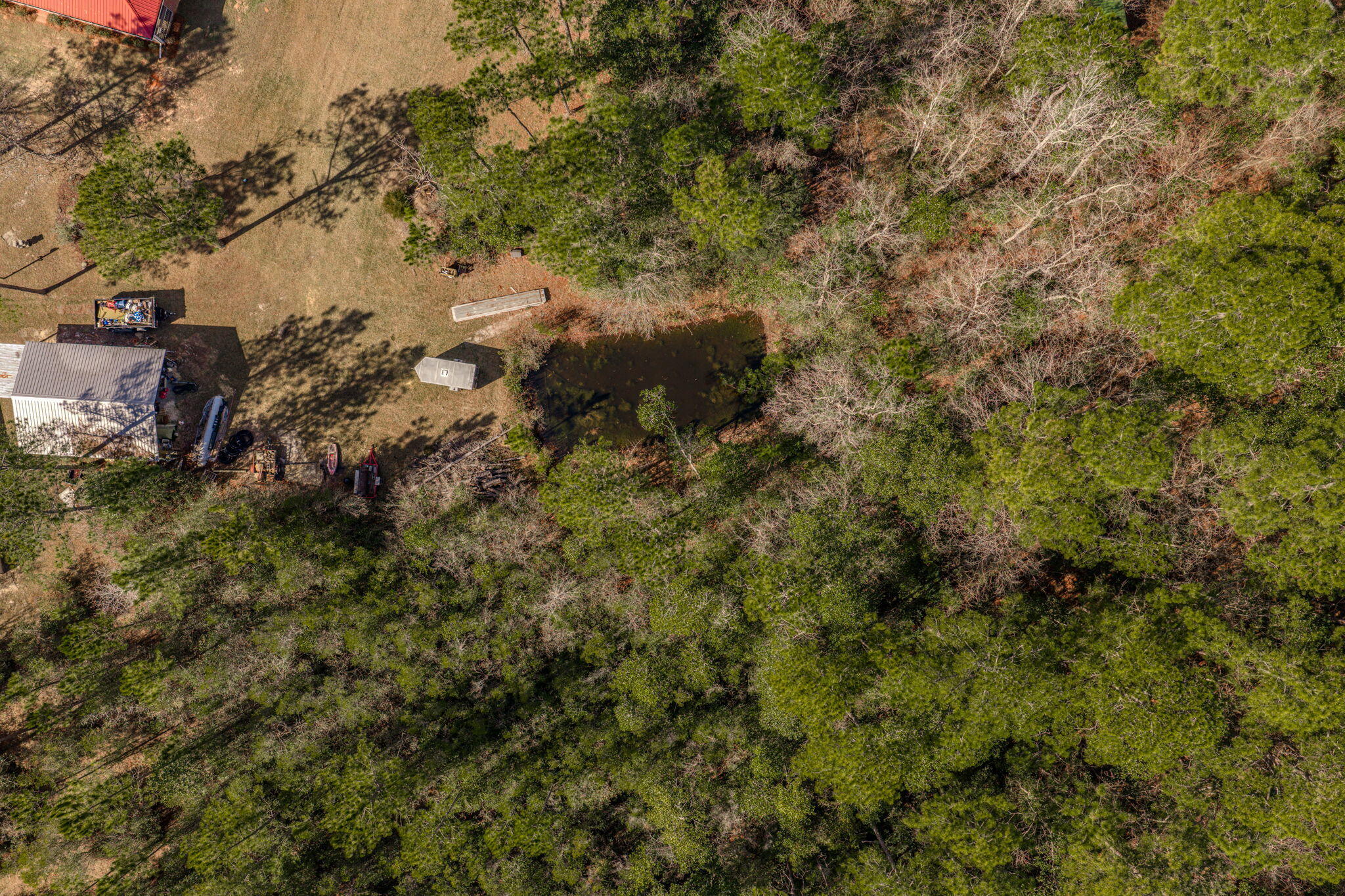 4398 Wilkerson Bluff Road Holt, FL 32564 - Photo 106 of 110 a view of a forest with a tree