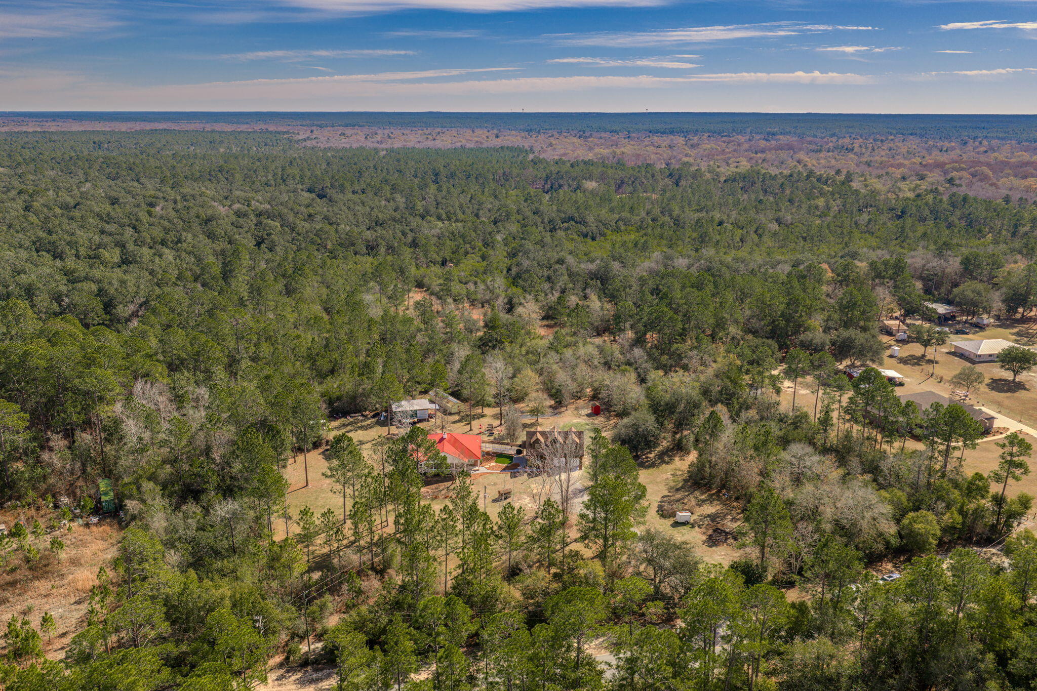 4398 Wilkerson Bluff Road Holt, FL 32564 - Photo 109 of 110 a view of a field with a lush green forest