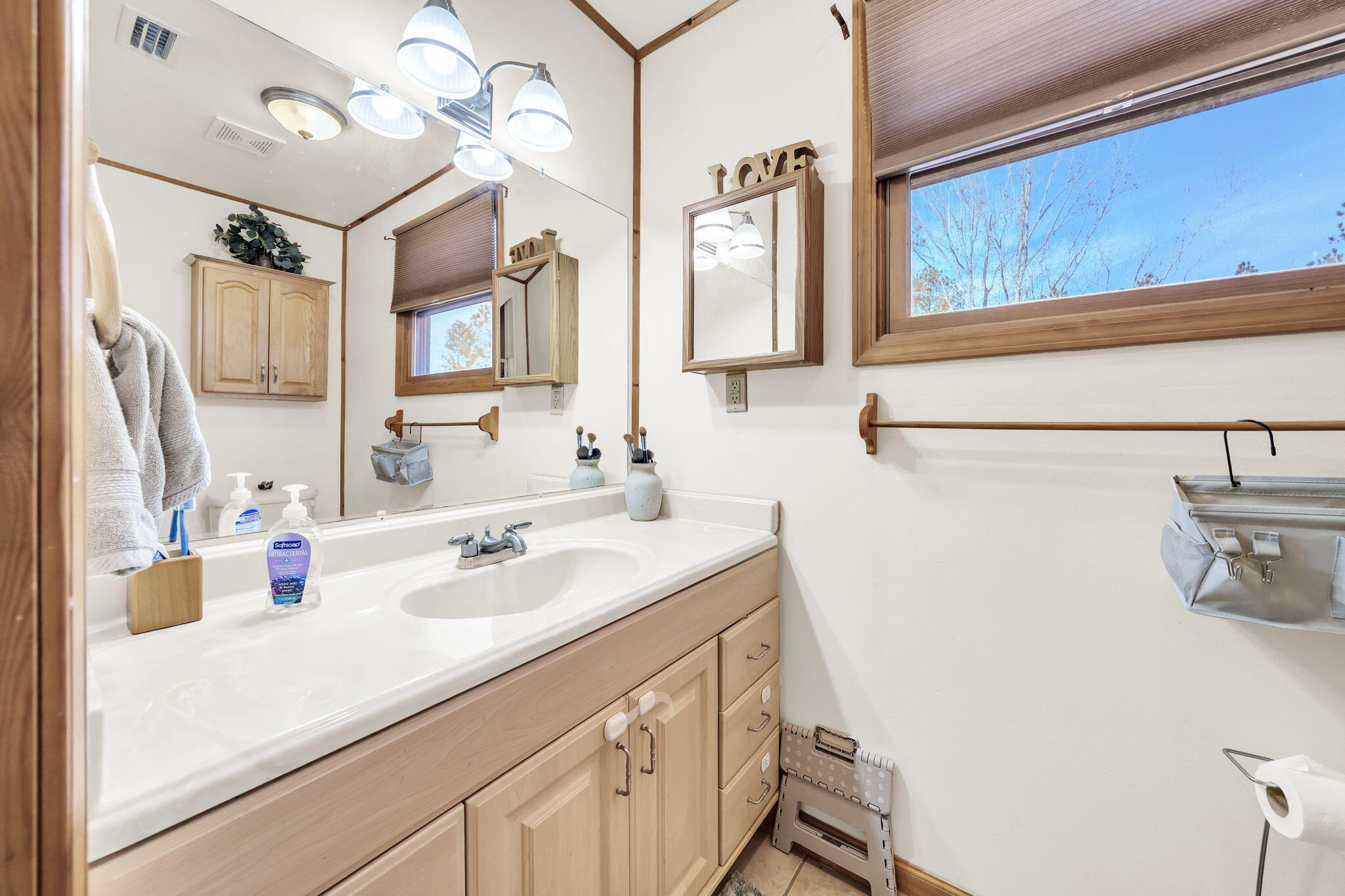 4398 Wilkerson Bluff Road Holt, FL 32564 - Photo 66 of 110 a bathroom with a sink vanity and a mirror