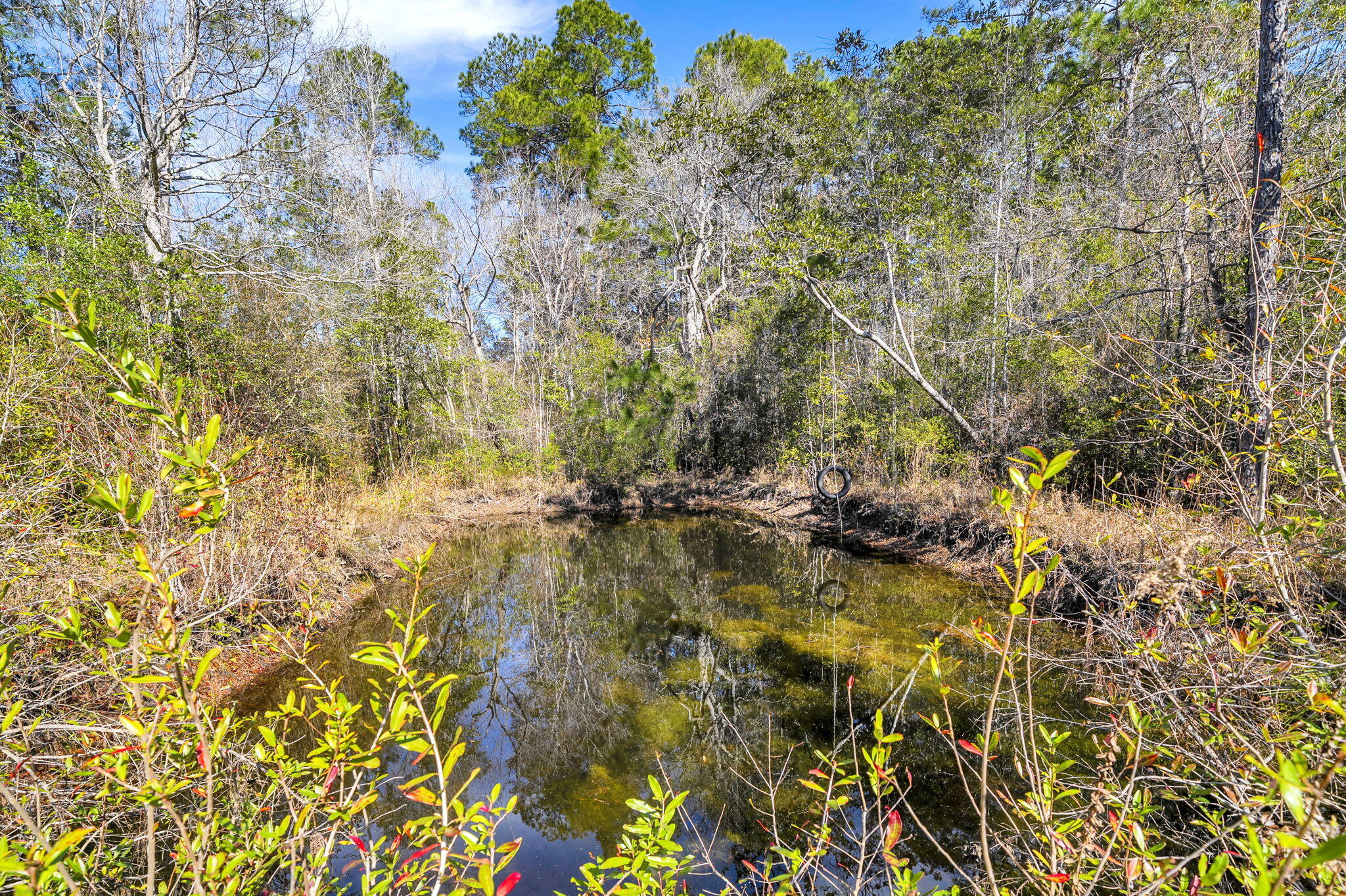 4398 Wilkerson Bluff Road Holt, FL 32564 - Photo 77 of 110 106-web-or-mls-DSC05734