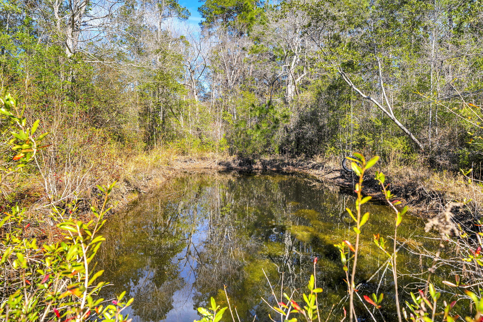 4398 Wilkerson Bluff Road Holt, FL 32564 - Photo 78 of 110 107-web-or-mls-DSC05735