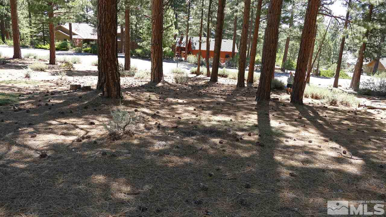 1385 Austrian Pine Road, Unit NV Reno, NV 89511 - Photo 4 of 11 Photo 4