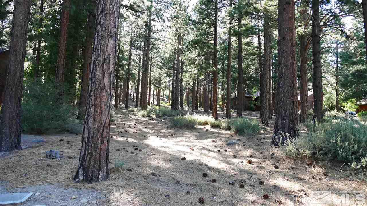 1385 Austrian Pine Road, Unit NV Reno, NV 89511 - Photo 6 of 11 Photo 6