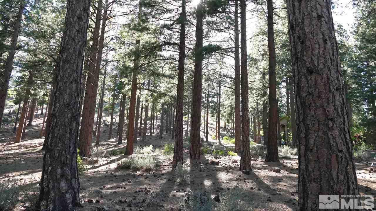 1385 Austrian Pine Road, Unit NV Reno, NV 89511 - Photo 7 of 11 Photo 7