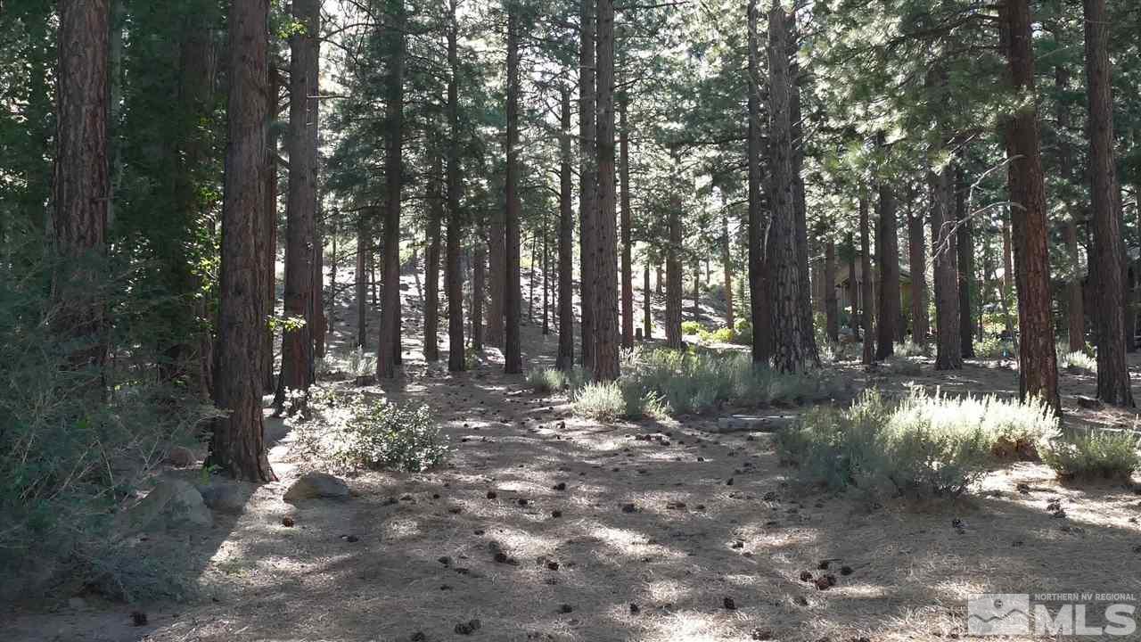 1385 Austrian Pine Road, Unit NV Reno, NV 89511 - Photo 8 of 11 Photo 8