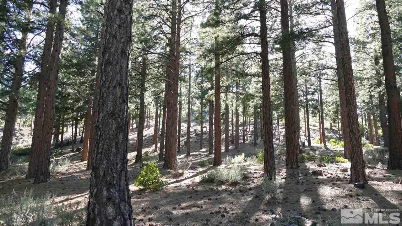 1385 Austrian Pine Road, Unit NV Reno, NV 89511 - Photo 9 of 11 Photo 9
