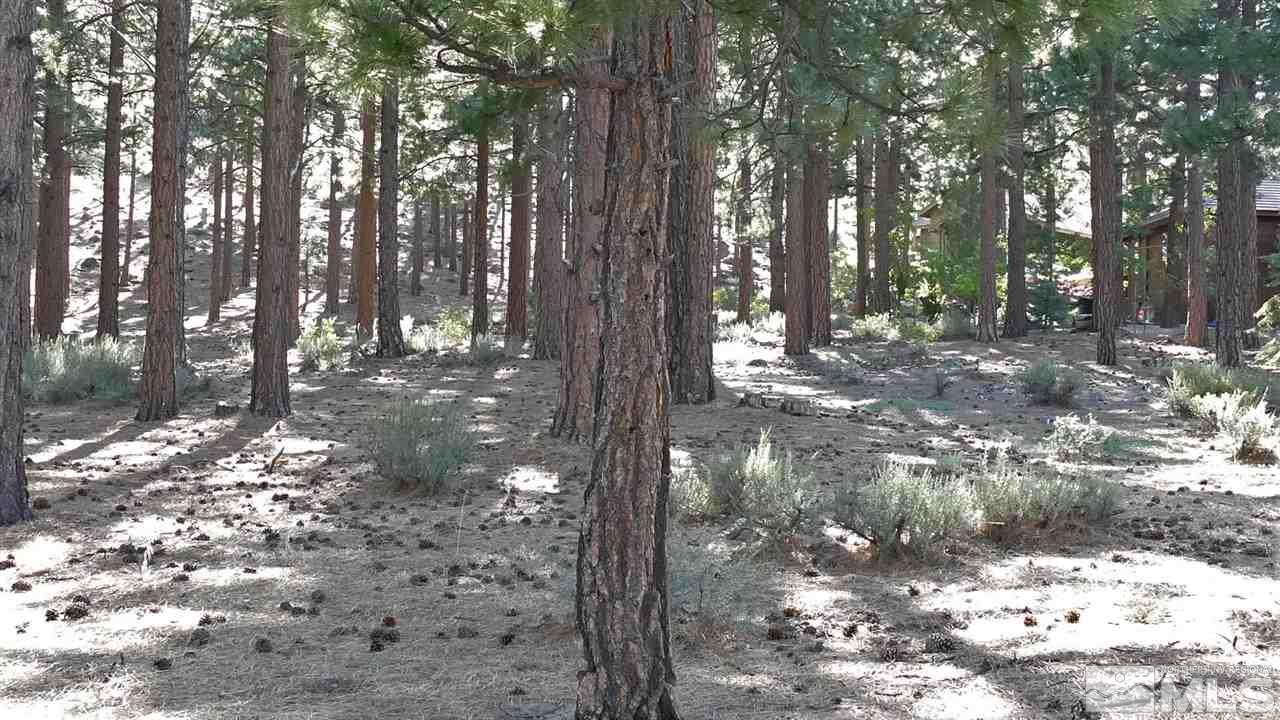 1385 Austrian Pine Road, Unit NV Reno, NV 89511 - Photo 10 of 11 Photo 10