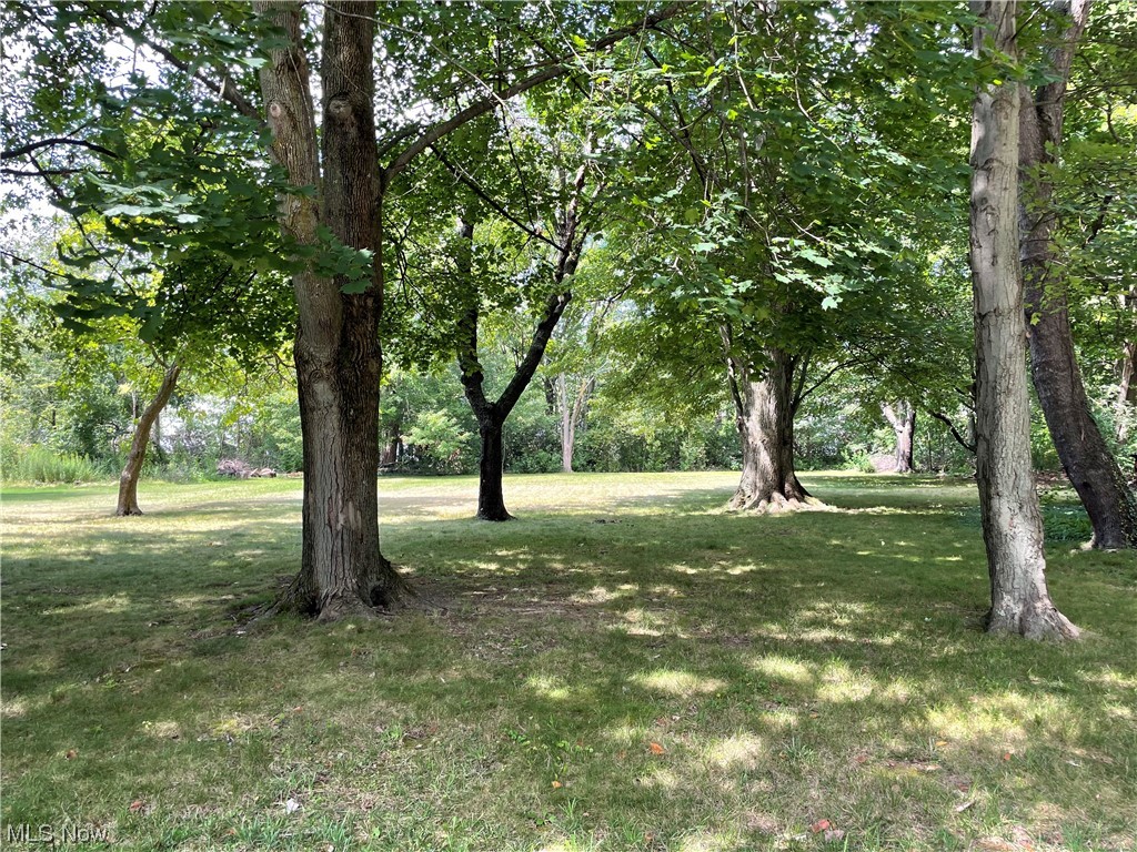 3268 Morewood Road Akron, OH 44333 - Photo 29 of 29 View of backyard
