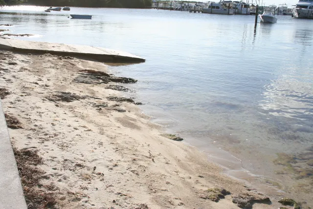 a view of outdoor space and yard