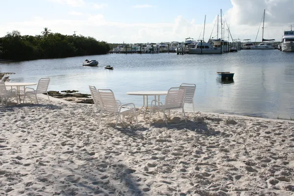 a view of a patio with table and chairs and potted plants