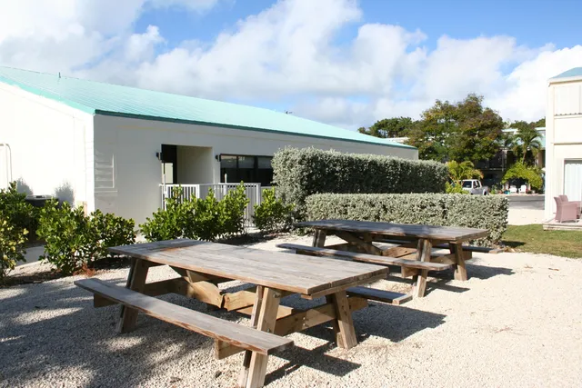 a view of a patio with table and chairs and potted plants