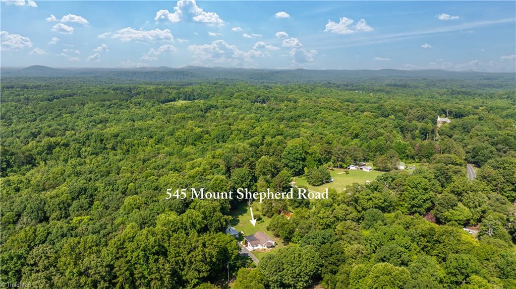 545 Mt Shepherd Road Asheboro, NC 27205 - Photo 44 of 49 Aerial