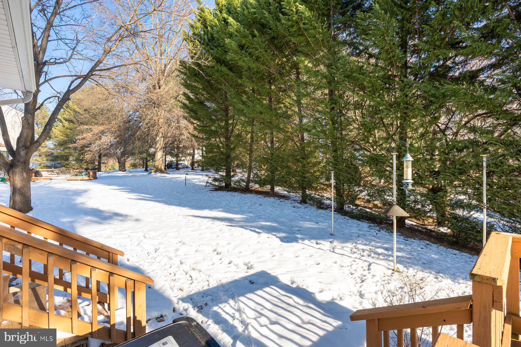 6041 Watch Chain Way Columbia, MD 21044 - Photo 40 of 42 Backyard