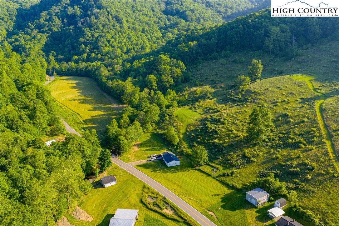 4690 3 Top Road Todd, NC 28684 - Photo 22 of 49 a view of a yard with plants