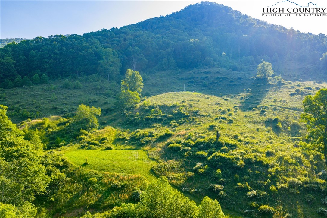 4690 3 Top Road Todd, NC 28684 - Photo 25 of 49 a view of a back yard