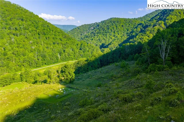 a view of a lush green space