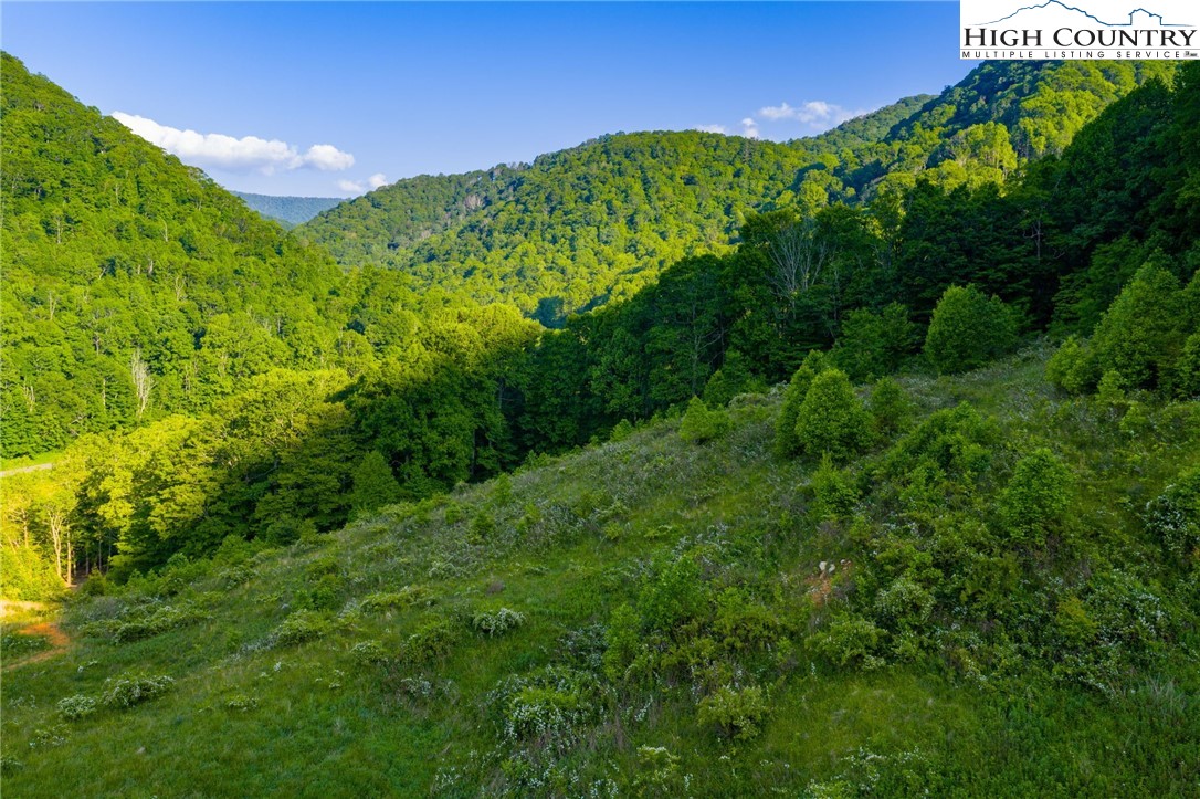 4690 3 Top Road Todd, NC 28684 - Photo 27 of 49 a view of a lush green space