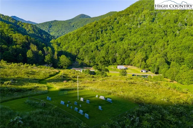 a view of a lush green space