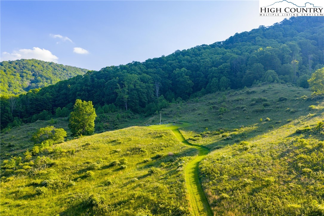 4690 3 Top Road Todd, NC 28684 - Photo 3 of 49 a backyard of a house with lots of green space