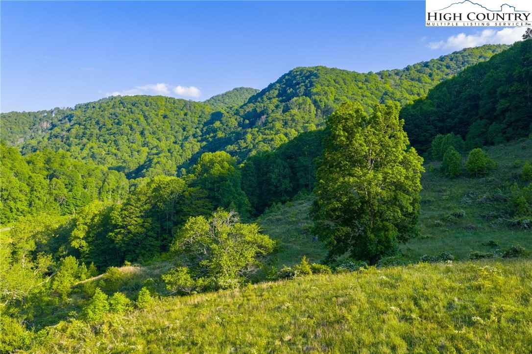 4690 3 Top Road Todd, NC 28684 - Photo 31 of 49 a view of a garden