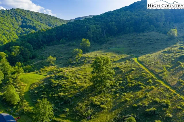 a view of a swimming pool with a yard