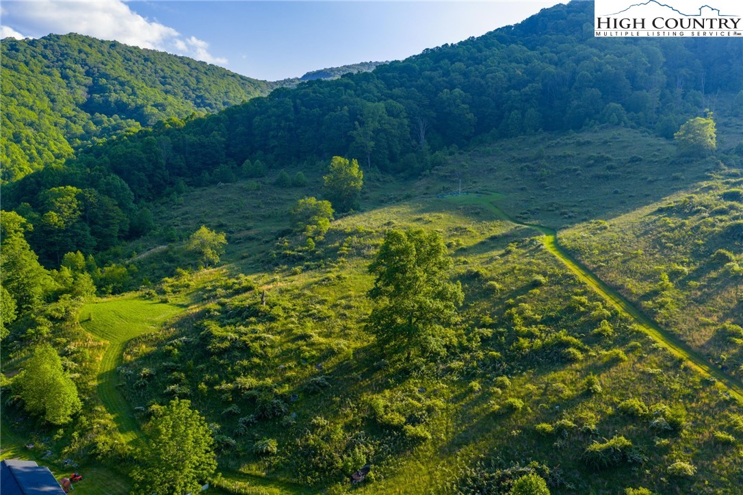 4690 3 Top Road Todd, NC 28684 - Photo 35 of 49 a view of a back yard