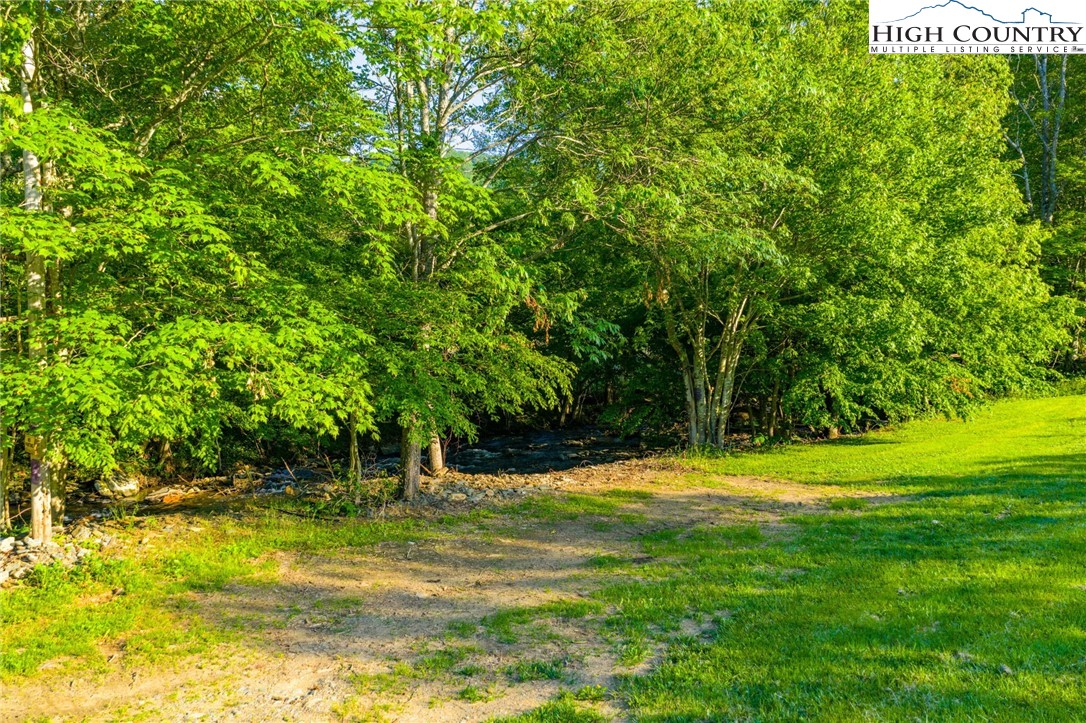 4690 3 Top Road Todd, NC 28684 - Photo 38 of 49 a view of a trees in a yard