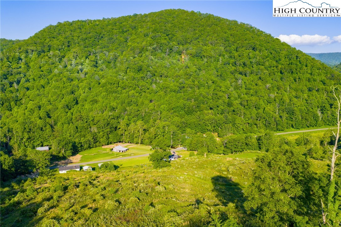 4690 3 Top Road Todd, NC 28684 - Photo 4 of 49 a backyard of a house with lots of green space