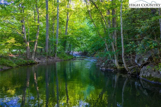 a view of a garden with mountains