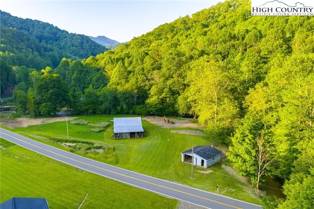 a view of a field with plants and trees