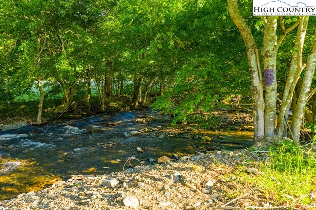 a view of a bunch of plants and trees