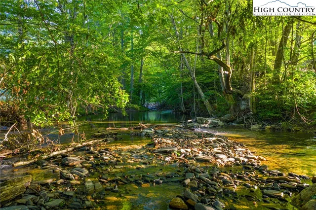 a view of a tree with a yard
