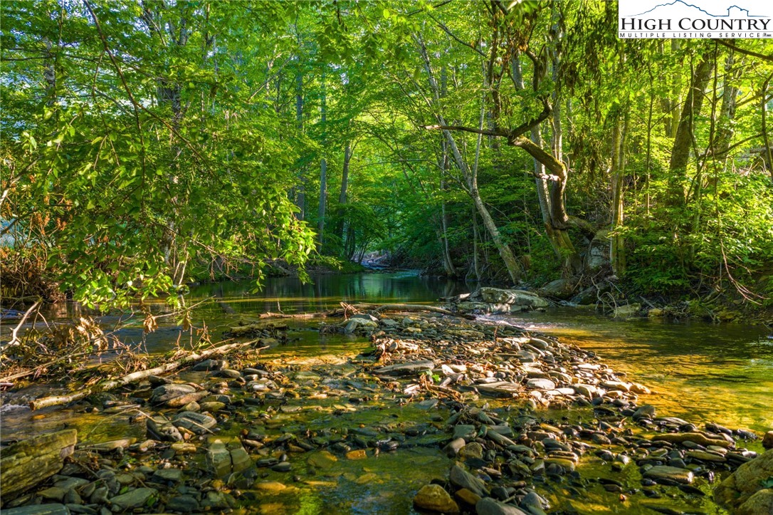 4690 3 Top Road Todd, NC 28684 - Photo 9 of 49 a view of a tree with a yard