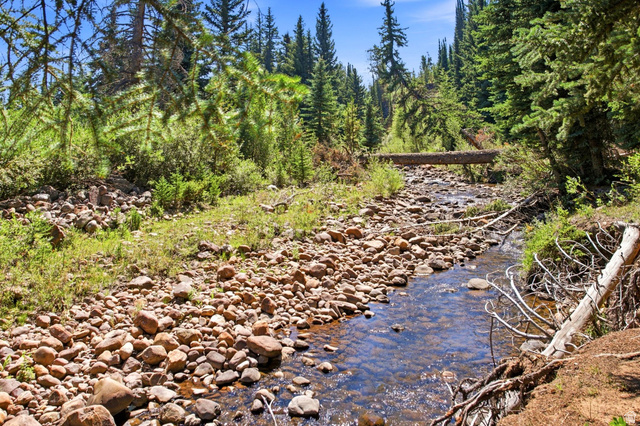 1663 Lancer Lane Evanston, UT 82930 - Photo 95 of 101 Rocky streambed with clear water, surrounded by dense evergreen trees and natural foliage