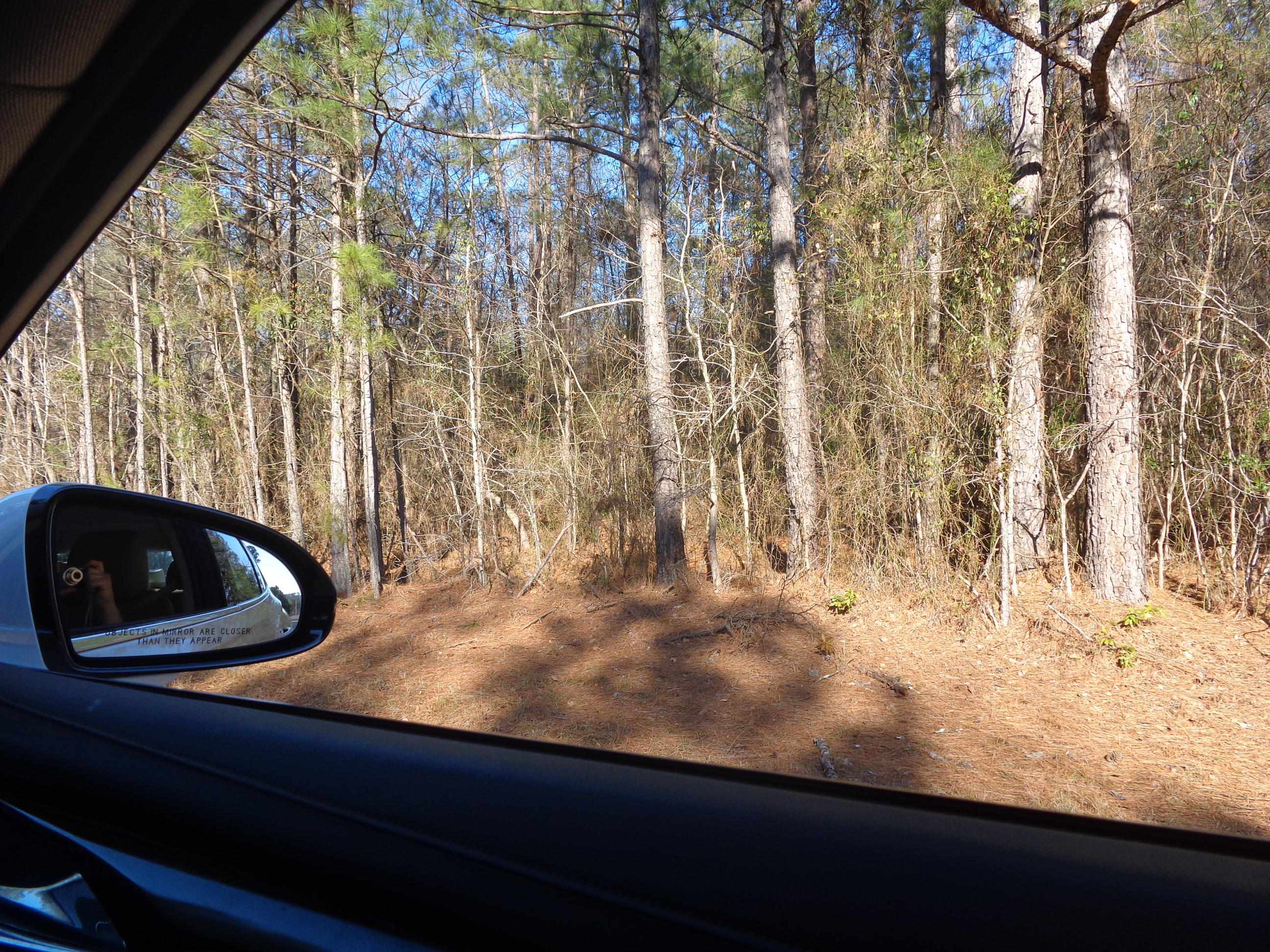 Tbd Dockery Road Rockingham, NC 28379 - Photo 1 of 6 Some timber could be cut.