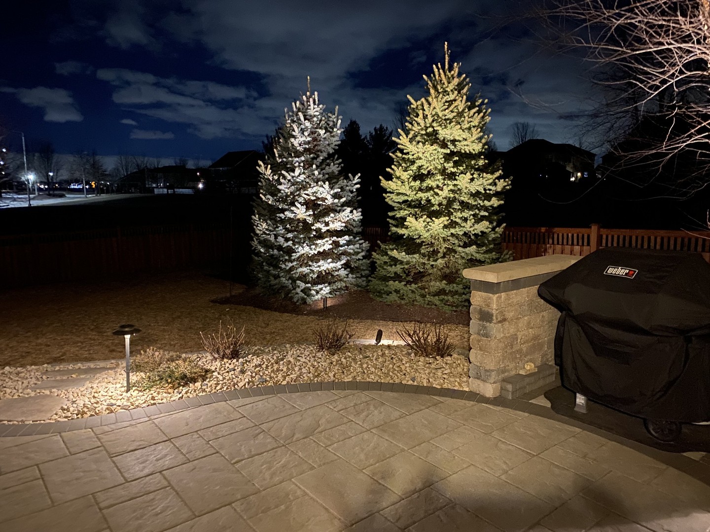 13423 Summergrove Drive Plainfield, IL 60585 - Photo 31 of 37 a vase of flowers sitting on a table