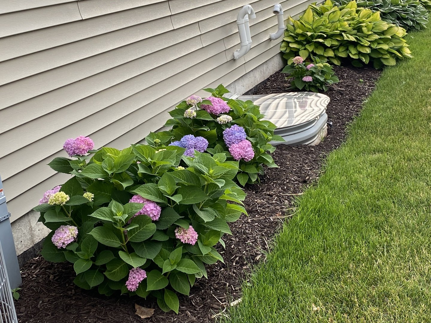 13423 Summergrove Drive Plainfield, IL 60585 - Photo 37 of 37 a bunch of flowers are in a garden