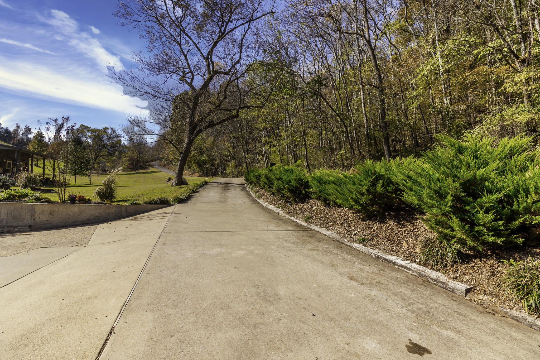 525 York Hollow Road Pulaski, TN 38478 - Photo 30 of 48 a view of a road with a yard