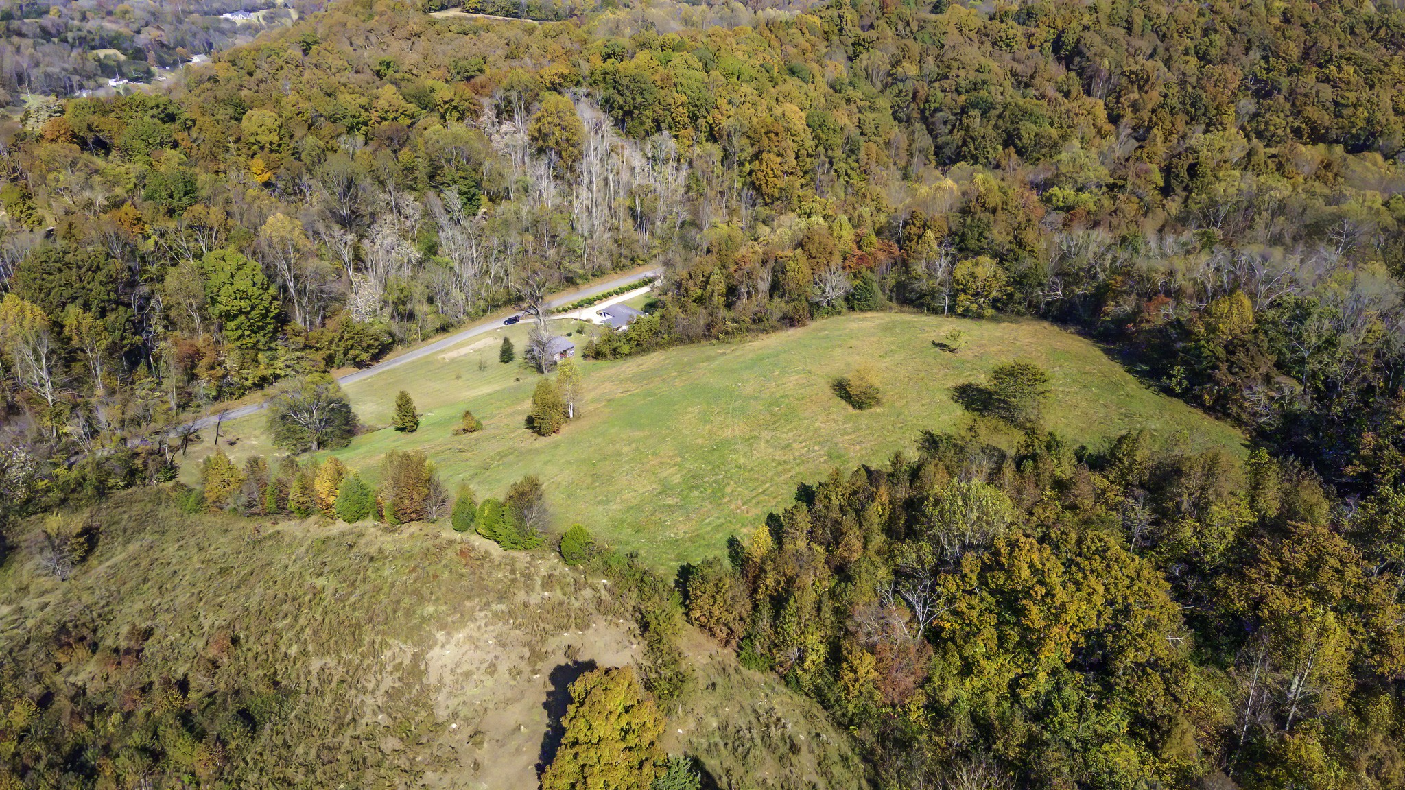 525 York Hollow Road Pulaski, TN 38478 - Photo 39 of 48 a view of a yard with plants