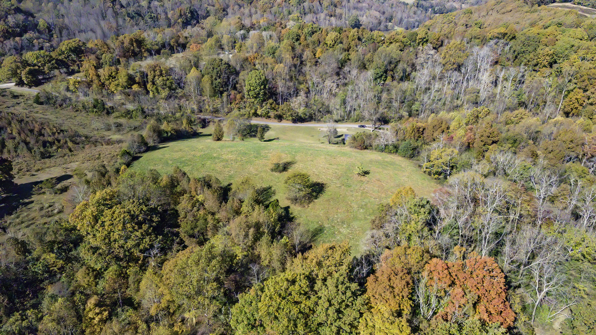 525 York Hollow Road Pulaski, TN 38478 - Photo 40 of 48 a view of a yard with a dry yard