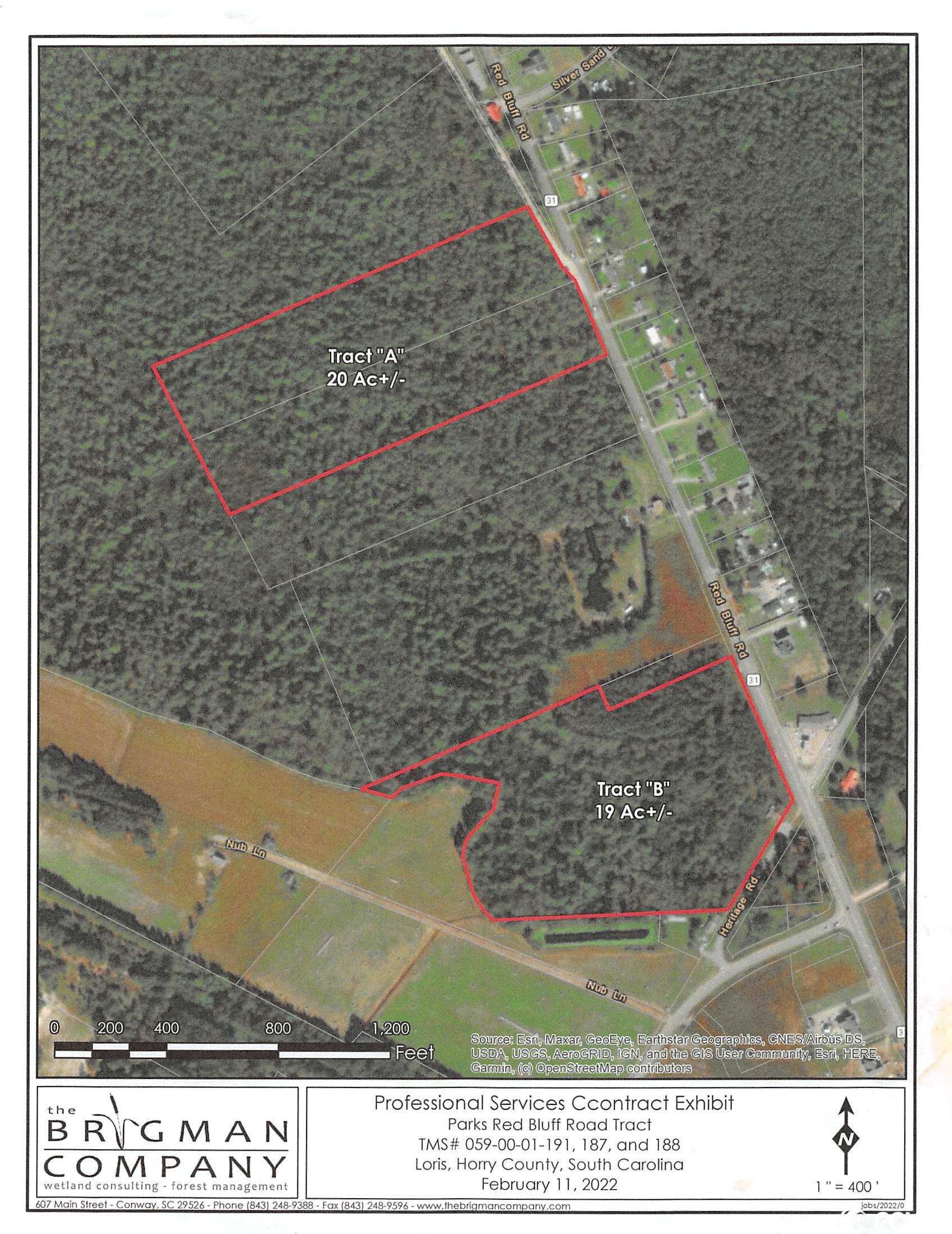 Red Bluff Road Loris, SC 29569 - Photo 1 of 2 Gallery Image 1
