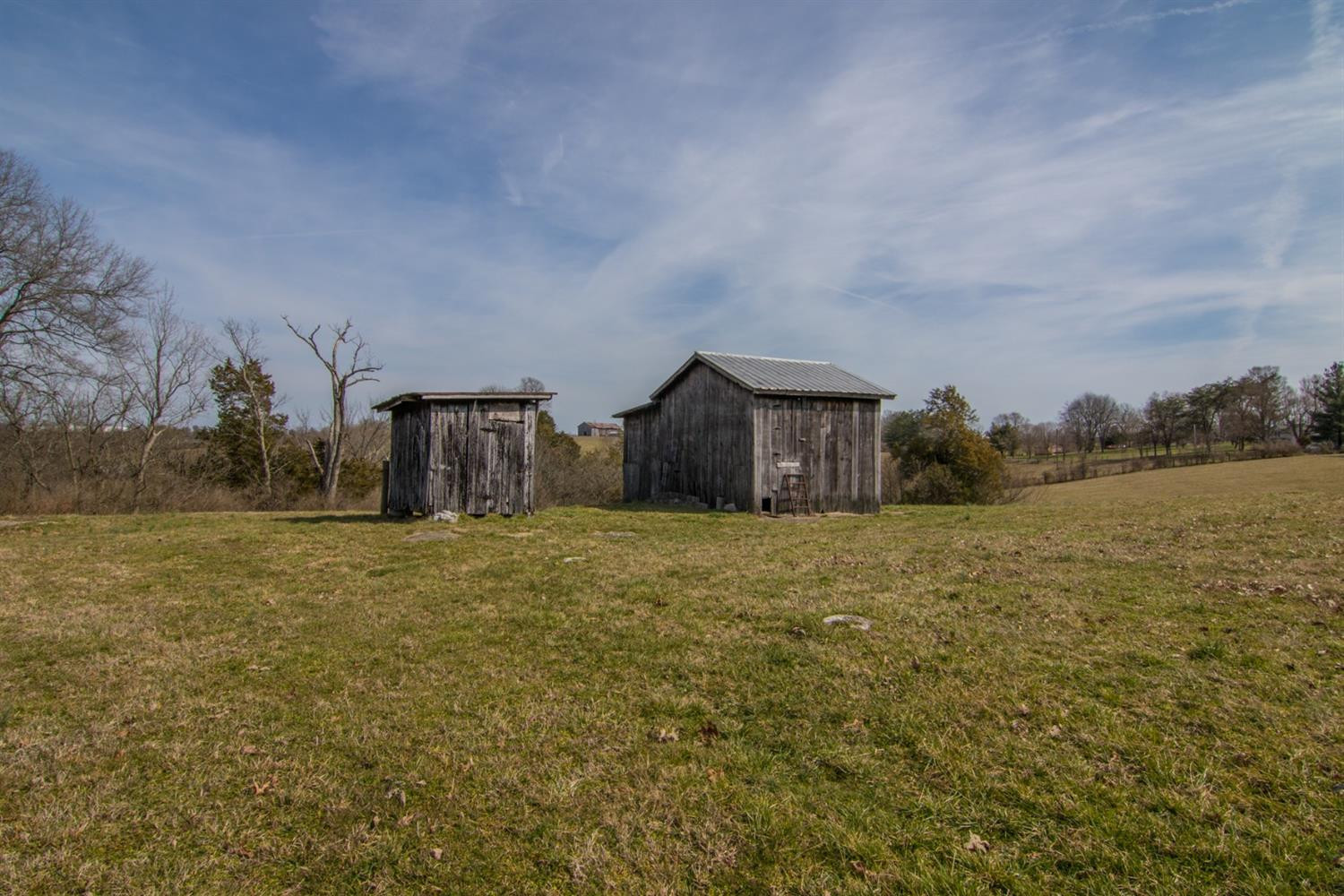 1100 Grows Mill Road Wilmore, KY 40390 - Photo 9 of 37 Photo 9