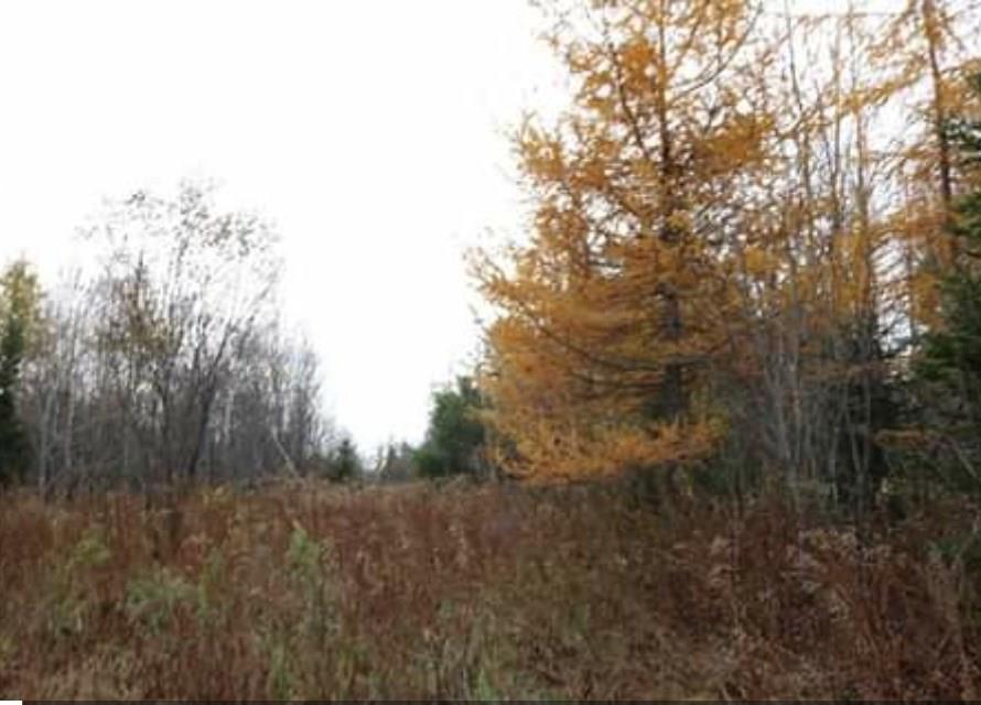 160 Silvers Mills Road Sangerville, ME 04479 - Photo 1 of 14 Photo