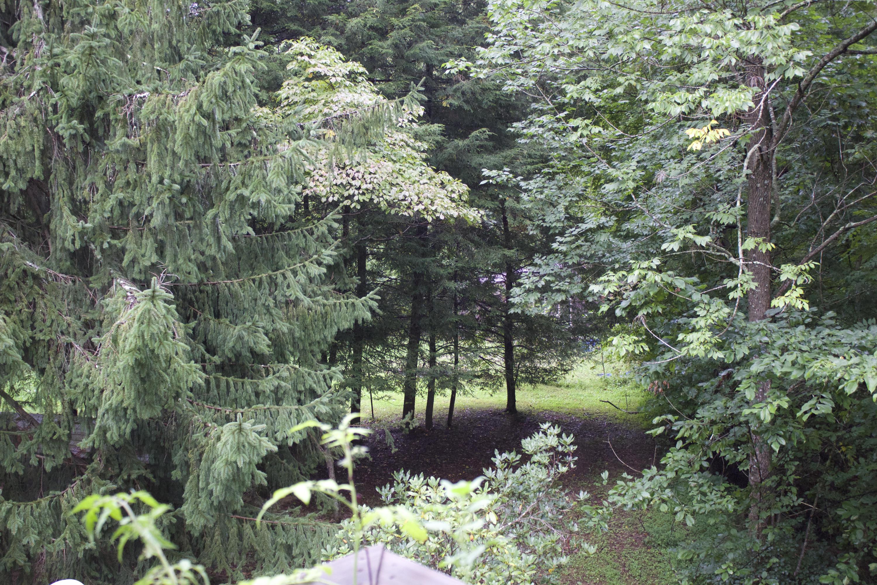 25270 Dunlap Road Rockbridge, OH 43149 - Photo 33 of 48 Gallery Image 33