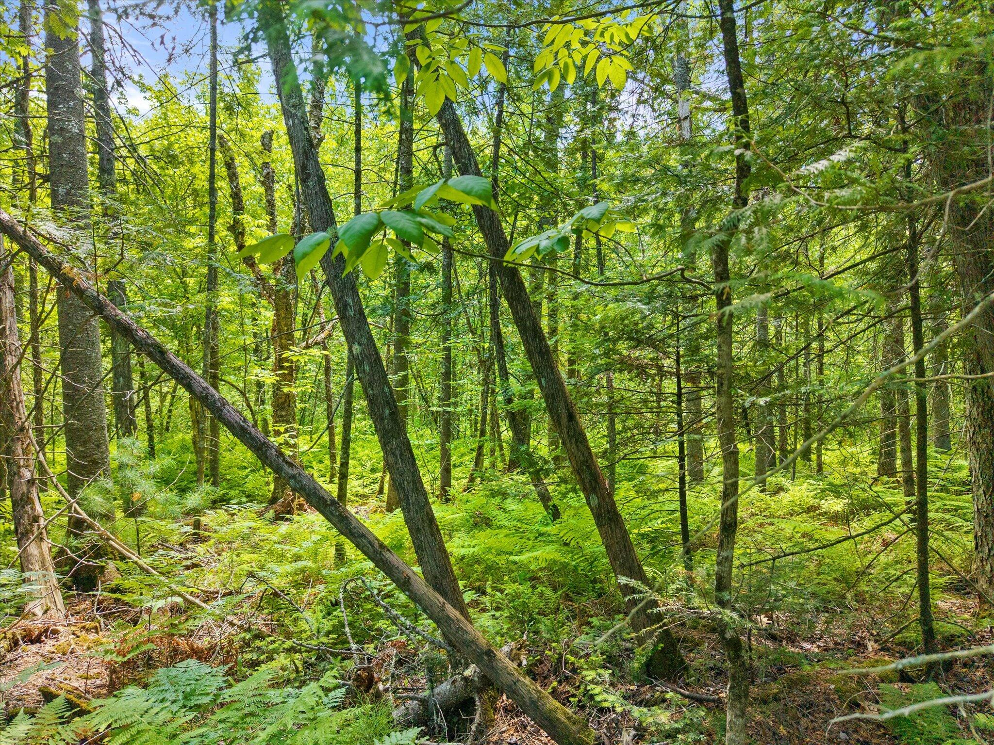 0 Stetson Road East Levant, ME 04456 - Photo 12 of 17 12-Stetson Rd E