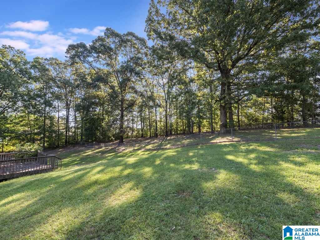 555 Pike Road Woodstock, AL 35188 - Photo 25 of 30